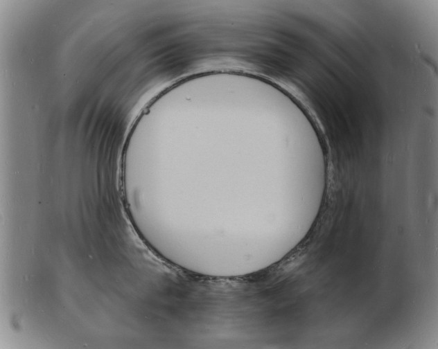 X0000103970815200809191357