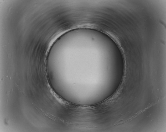 X0000103970816200809191357