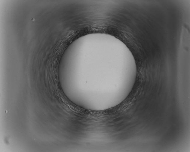 X0000103970817200809191356