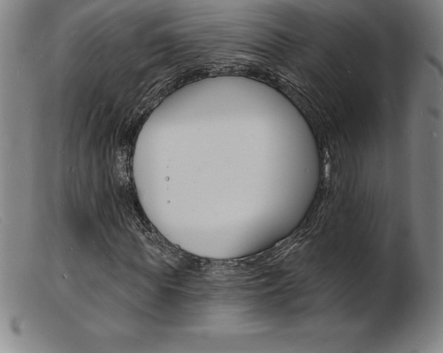 X0000103970819200809191356
