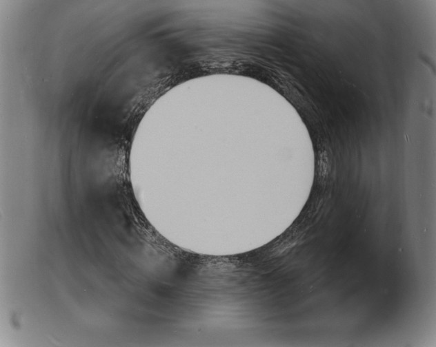 X0000103970820200809191356
