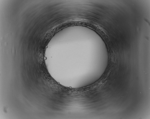 X0000103970821200809191356