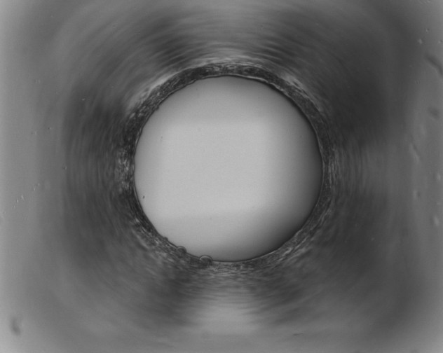 X0000103970822200809191356