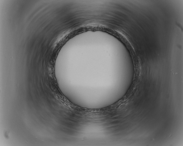 X0000103970823200809191356