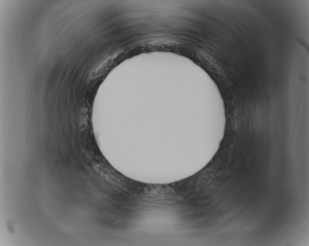 X0000103970824200809191356