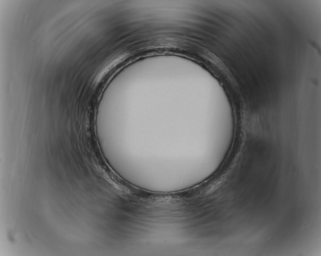 X0000103970826200809191356