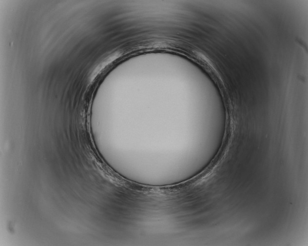 X0000103970827200809191356
