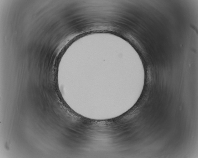 X0000103970828200809191356