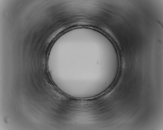 X0000103970829200809191356