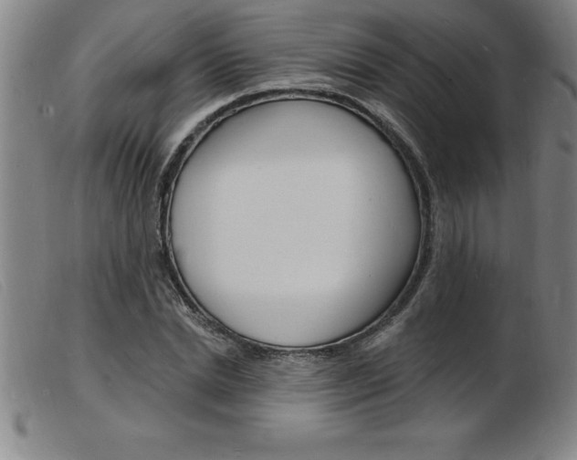 X0000103970830200809191356