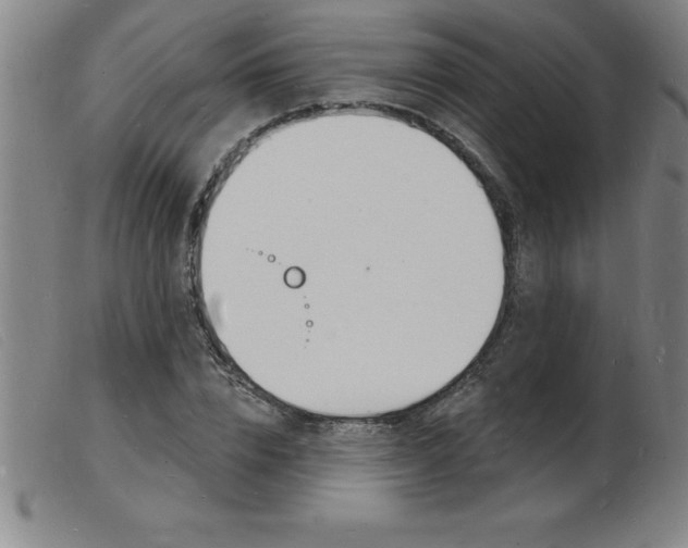 X0000103970832200809191356