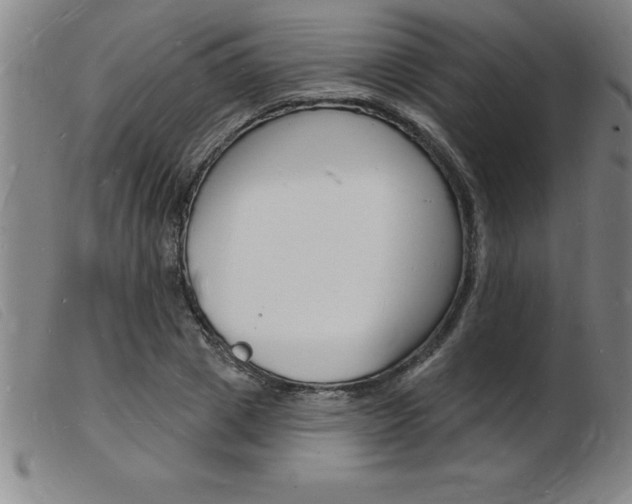 X0000103970833200809191356