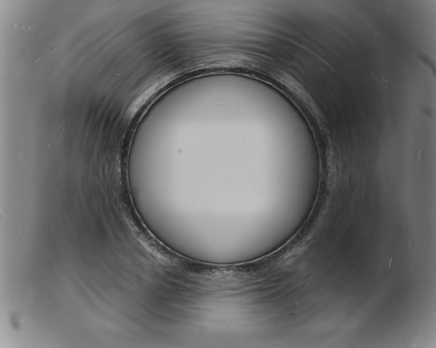 X0000103970834200809191356