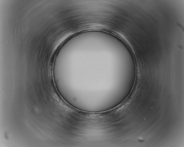X0000103970835200809191356