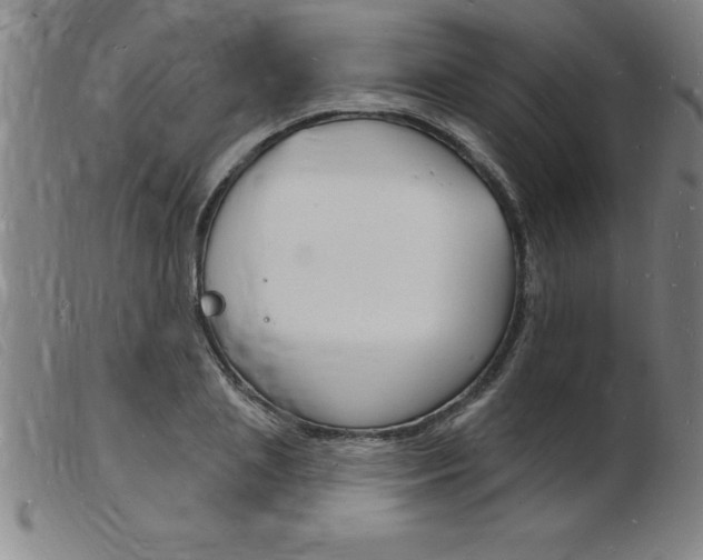 X0000103970837200809191356