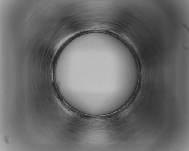 X0000103970838200809191356