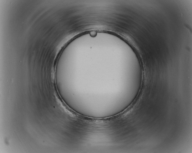 X0000103970839200809191356