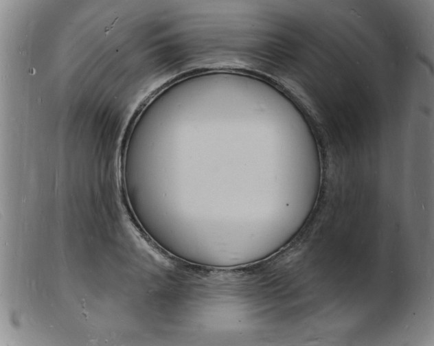 X0000103970840200809191356