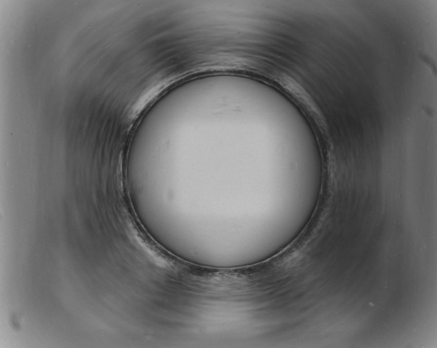 X0000103970842200809191356