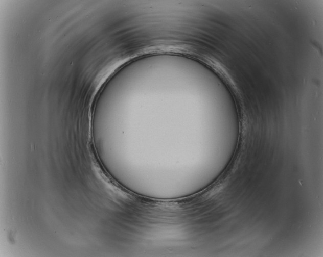 X0000103970844200809191356
