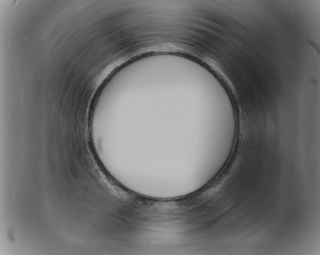 X0000103970845200809191356