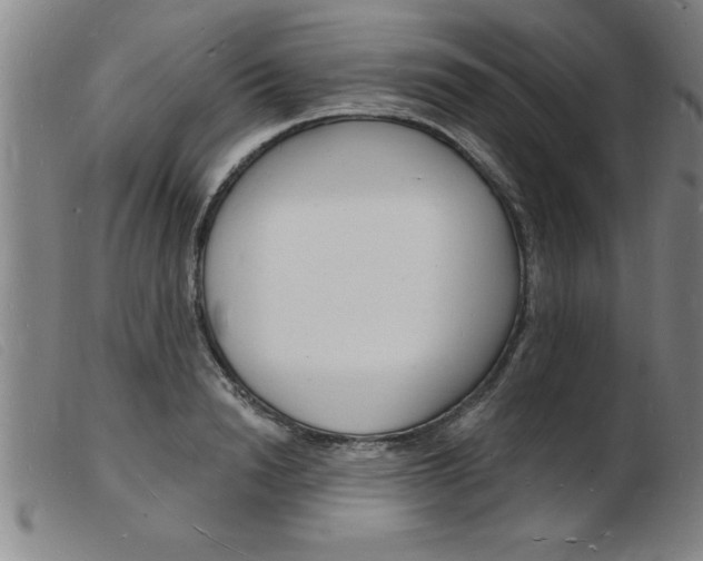 X0000103970846200809191356