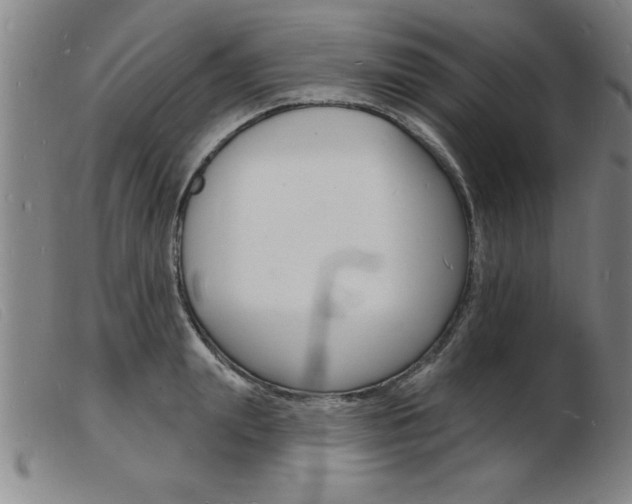 X0000103970847200809191356