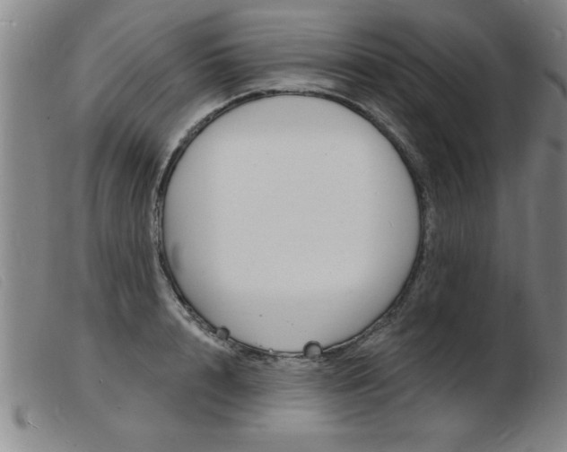 X0000103970848200809191356