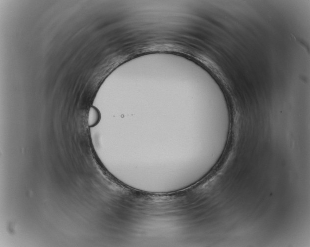 X0000103970849200809191356