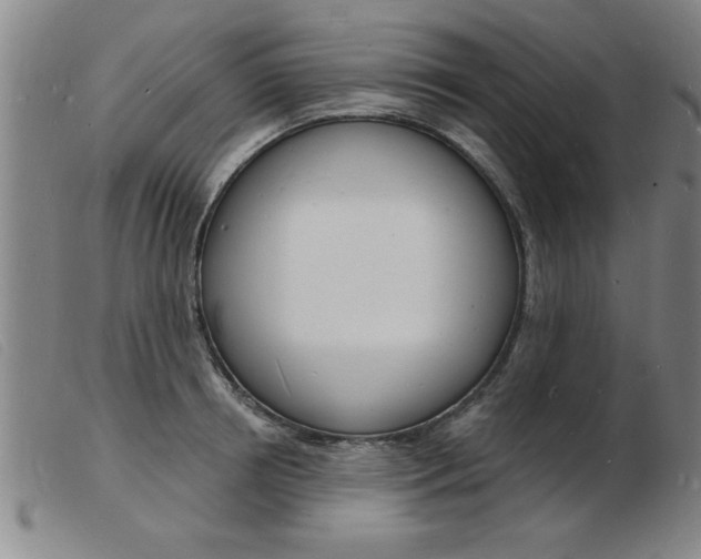 X0000103970850200809191356