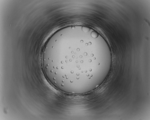 X0000103970851200809191356