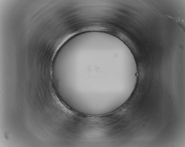 X0000103970852200809191357