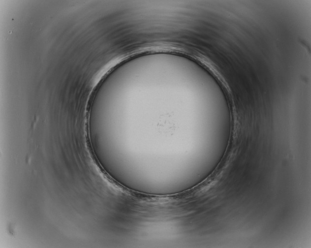 X0000103970853200809191357
