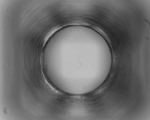 X0000103970855200809191357