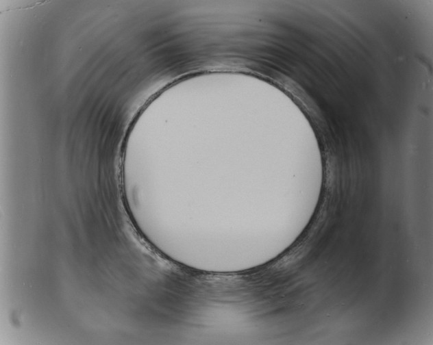 X0000103970856200809191357