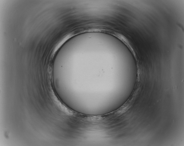 X0000103970859200809191357