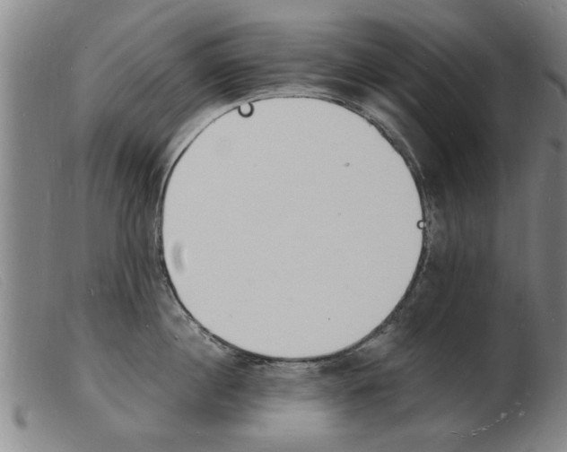 X0000103970860200809191357