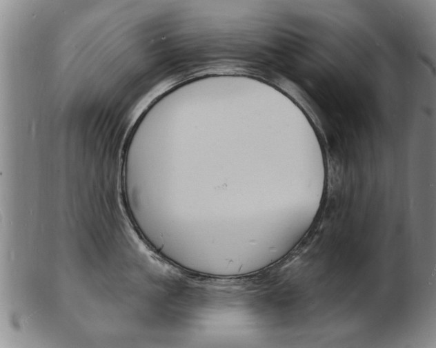 X0000103970861200809191357