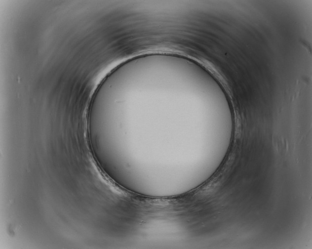 X0000103970862200809191357