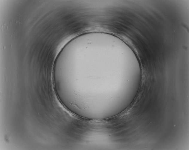 X0000103970863200809191357