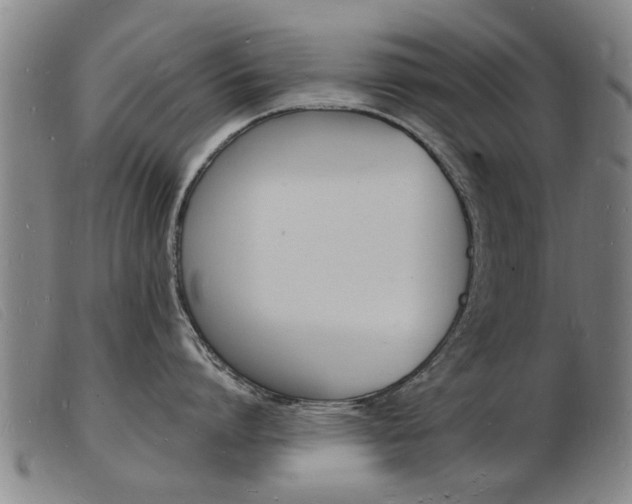 X0000103970864200809191357