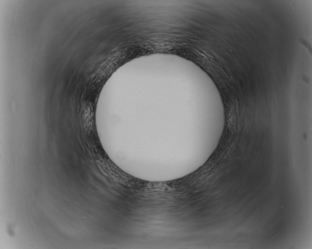 X0000103970866200809191356