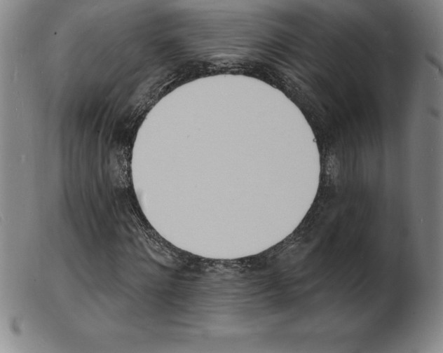 X0000103970868200809191356