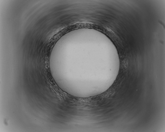 X0000103970870200809191356