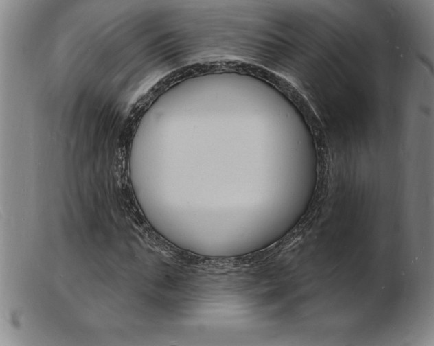 X0000103970871200809191356