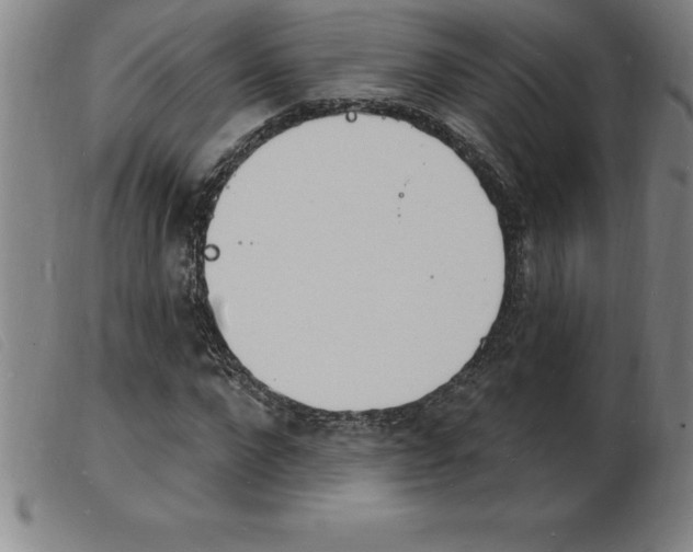X0000103970872200809191356