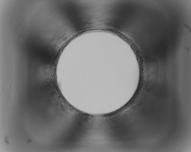 X0000103970873200809191356