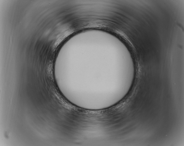 X0000103970874200809191356