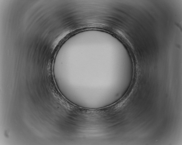 X0000103970875200809191356