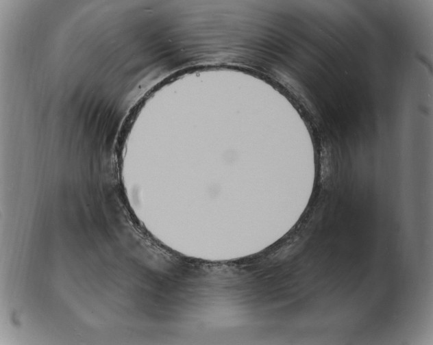 X0000103970876200809191356